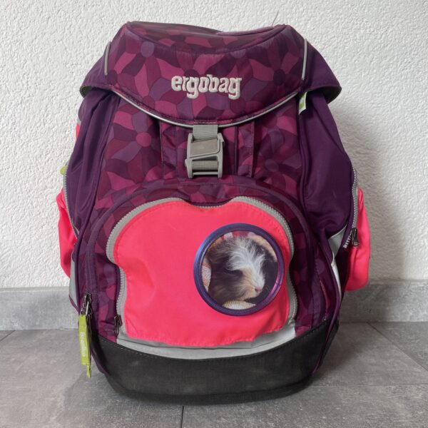 4er-Set 3D-Foto Klettie - für ergobag Schulranzen v2 – Bild 5