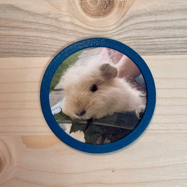 3D-Foto Klettie mini für ergobag Schulranzen v2