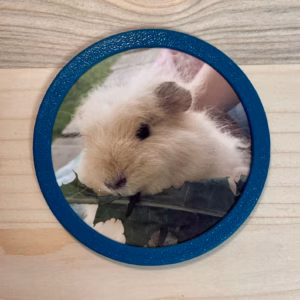 3D-Foto Klettie für ergobag Schulranzen v2
