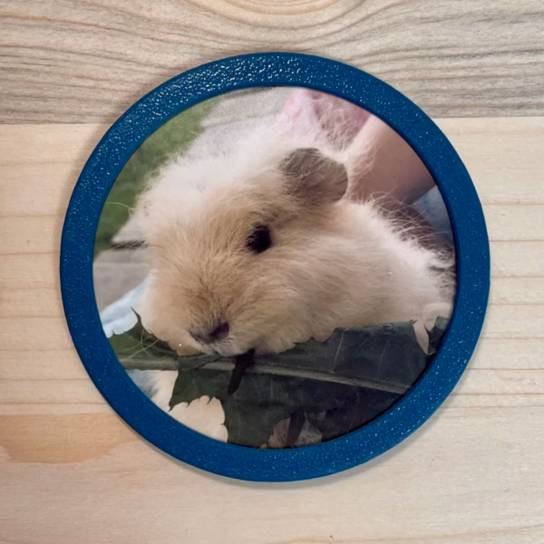 3D-Foto Klettie für ergobag Schulranzen v2
