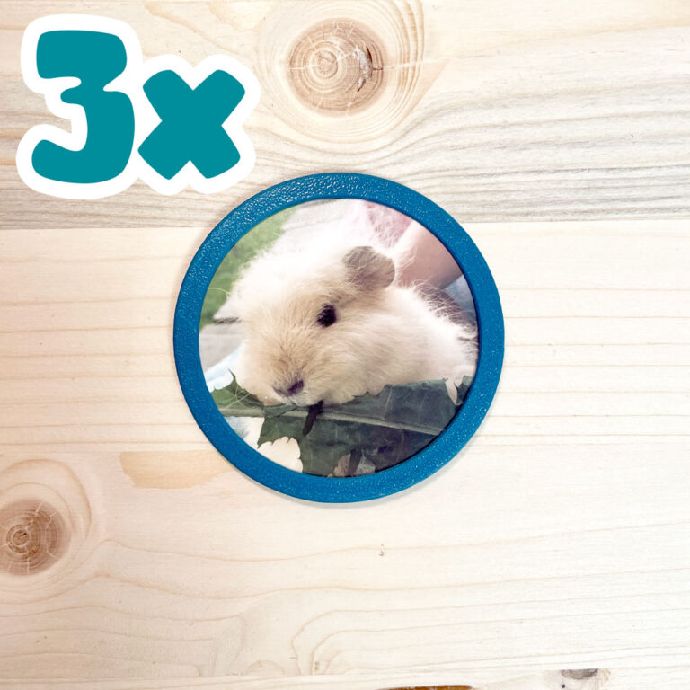 3er-Set 3D-Foto Klettie - für ergobag Schulranzen v2