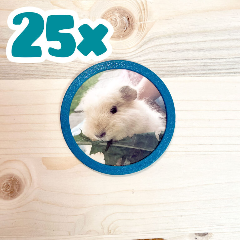 25er Kindergarten-Set 3D-Foto Klettie - für ergobag Schulranzen v2